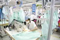 EuroCham: 58% nhà quản lý không có kế hoạch thay đổi kế hoạch đầu tư tại Việt Nam trong quý II