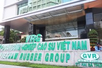 Quý I/2023, lợi nhuận Tập đoàn Công nghiệp Cao su Việt Nam (GVR) giảm 42,6%, về 755,68 tỷ đồng