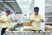 Nhóm VinaCapital vừa bán ra 600.000 cổ phiếu Đường Quảng Ngãi (QNS)