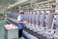 Damsan (ADS) nhận quyết định đầu tư cụm công nghiệp Ninh An với quy mô 75ha