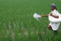 Bloomberg: Trung Quốc yêu cầu các nhà sản xuất phân bón tạm dừng xuất khẩu ure