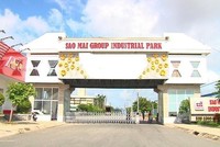 Sao Mai (ASM): Lợi nhuận 9 tháng đầu năm đạt 257,62 tỷ đồng