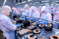 9 tháng đầu năm 2023, lợi nhuận Thủy sản Minh Phú (MPC) ghi nhận lỗ 109,72 tỷ đồng