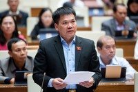 ĐBQH Dương Khắc Mai cho rằng bất động sản, chứng khoán, ngân hàng... đang rất khó khăn nhưng không được giảm VAT.
