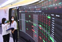 Rung lắc là cơ hội…