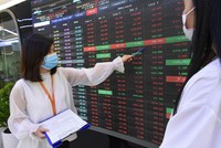 Chuyên gia Vinacapital: Định giá thị trường chiết khấu 25% so với bình quân các nước ASEAN là một điểm sáng