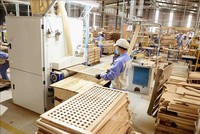 Từ 1/10/2020, triển khai nhiều dịch vụ công trực tuyến về xuất nhập khẩu