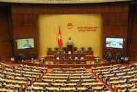 Trong phiên khai mạc, Quốc hội đã nghe các báo cáo kinh tế xã hội năm 2020 và dự kiến kế hoạch 5 năm tới.