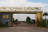 Vụ dự án 140 triệu USD tại Long An: Cục Thi hành án dân sự tỉnh Long An có sai sót