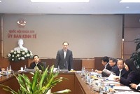 Phiên thẩm tra của Thường trực Uỷ ban Kinh tế (Ảnh Quochoi.vn).