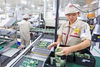 Sản xuất tại Công ty TNHH Điện tử UMC Việt Nam. Ảnh: Đức Thanh