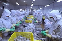 Năm 2020, thương mại Việt Nam-Canada đạt 5,1 tỷ USD, tăng 6,6%, trong đó: giày dép, thủy sản, đồ gỗ là các mặt hàng xuất khẩu chủ lực của Việt Nam sang Canada