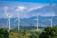 4.000 MW điện gió có nguy cơ không được hưởng giá ưu đãi