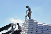 Phiên tham vấn công khai vụ việc điều tra chống bán phá giá và chống trợ cấp đối với một số sản phẩm đường mía Thái Lan diễn ra vào 12/5/2021.