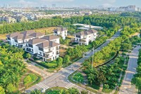 HDG: nền tảng từ những dự án lớn