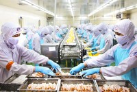 Gói hỗ trợ với doanh nghiệp FDI không thể “đồng hạng” như doanh nghiệp nhỏ và vừa, mà phải có chính sách, cơ chế đột phá.