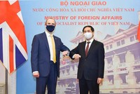 Bộ trưởng Ngoại giao Bùi Thanh Sơn và Bộ trưởng Ngoại giao và Phát triển Anh Dominic Raab (Ảnh: Tuấn Anh)