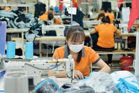Mỗi tháng, gần 11.400 doanh nghiệp rút lui khỏi thị trường
