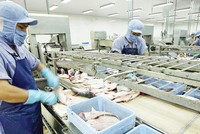 FTA tạo động lực mới cho xuất khẩu