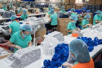 Cần có các chính sách, giải pháp nhanh, mạnh và kịp thời để tháo gỡ các vướng mắc, khó khăn của doanh nghiệp bị ảnh hưởng bởi đại dịch Covid-19