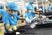 Chính phủ sẽ hỗ trợ gì cho doanh nghiệp?