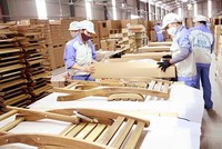 Xuất khẩu gỗ và sản phẩm gỗ trong tháng 8/2021 đã giảm 26,9% so với cùng kỳ năm trước.