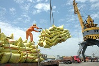 Chuyển hướng xuất khẩu gạo cao cấp, lợi nhuận Trung An (TAR) tăng mạnh trở lại quý III/2021