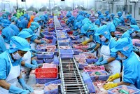 Doanh nghiệp phá sản nợ bảo hiểm xã hội, người lao động vẫn được hưởng chế độ thai sản, hưu trí