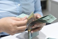 Tiếp tục thu nộp Quỹ bảo vệ người tham gia bảo hiểm