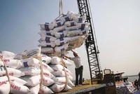Nhập khẩu phân bón 8 tháng 2021 từ các thị trường tăng 40,7%.