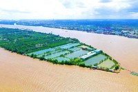 Tập đoàn T&T đề xuất đầu tư Dự án phát triển khu vực Cồn Sơn (phường Bùi Hữu Nghĩa, quận Bình Thủy, TP. Cần Thơ)