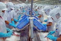 VASEP đề xuất tăng khung giờ làm thêm tối đa trong 1 năm từ 300 giờ lên 400 giờ không phụ thuộc vào ngành nghề sản xuất