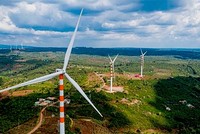 Hé lộ nguyên nhân điện gió được COD ít dù gần hết thời gian ưu đãi