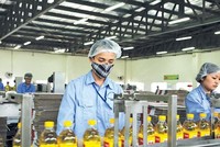Trước thềm thoái vốn, Vocarimex (VOC) báo lỗ sau 5 năm lên sàn