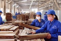 Sản xuất gỗ tại Gỗ Trường Thành
