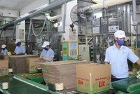 LIX gặp khó cả thị trường trong nước lẫn xuất khẩu.