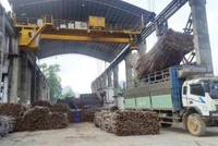 Niên vụ 2020/2021, ngành mía đường chỉ chỉ con 24 nhà máy tham gia sản xuất