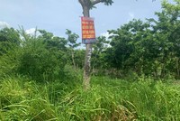 Nhiều dự án ở Mê LInh chậm triển khai.