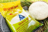 Tổng cục Quản lý thị trường đang hỗ trợ doanh nghiệp bảo vệ thương hiệu gạo ST24, ST25 tại thị trường nội địa