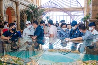 Xóa bỏ định kiến về “cò đất”, hoạt động môi giới bất động sản cần nâng tầm hơn nữa