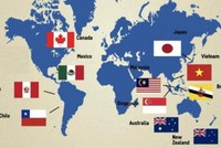 Hàn Quốc sẽ nộp đơn gia nhập CPTPP trong tháng 4/2022.