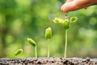 Ngành ngân hàng luôn xác định vai trò, trách nhiệm trong việc “xanh hóa” dòng vốn đầu tư