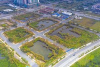 Cử tri lo lắng về tình trạng sốt đất ảo, thông thầu, bắt tay ngầm trong các cuộc đấu giá đất (ảnh minh họa)