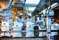 DCM ước đạt lợi nhuận sau thuế 1.823 tỷ đồng, mức cao nhất trong 10 năm hoạt động