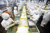 Với Chương trình Phục hồi và Phát triển kinh tế - xã hội 2022-2023, doanh nghiệp có thêm trợ lực để vượt qua khó khăn, đẩy mạnh sản xuất. Ảnh: Đức Thanh