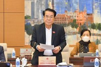 Trưởng Ban Dân nguyện Dương Thanh Bình báo cáo tại cuộc họp.