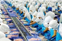Thủy sản Ngô Quyền "hồi sinh" sau 2 năm thua lỗ