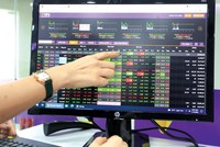 Nhiều nhà đầu tư F0 mua bán cổ phiếu theo kiểu rỉ tai và rất dễ bị tâm lý FOMO chi phối