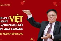 TS. Nguyễn Đình Cung: Doanh nghiệp Việt cần động lực mới để vượt ngưỡng