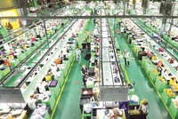 Xuất hiện hạn chế, thách thức mới về dân số, lao động